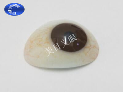 美目牌 厚型义眼片（正面）