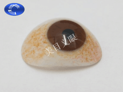 美目牌 薄型义眼片（正面）